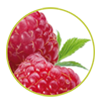 Beeren